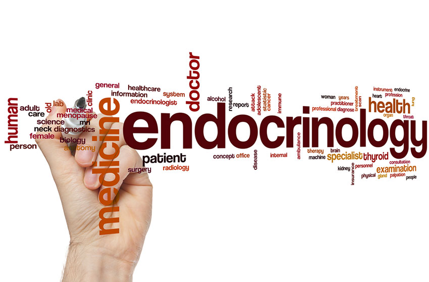 Endocrinologia